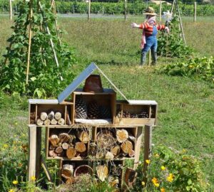 kerteszkedes vagy permakultura