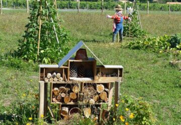 kerteszkedes vagy permakultura